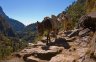 nepal-0101.jpg - 